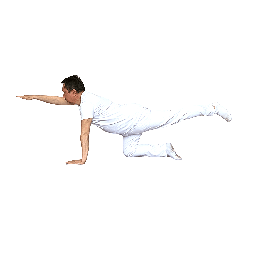 GÜRSEL KEMAL ŞEN